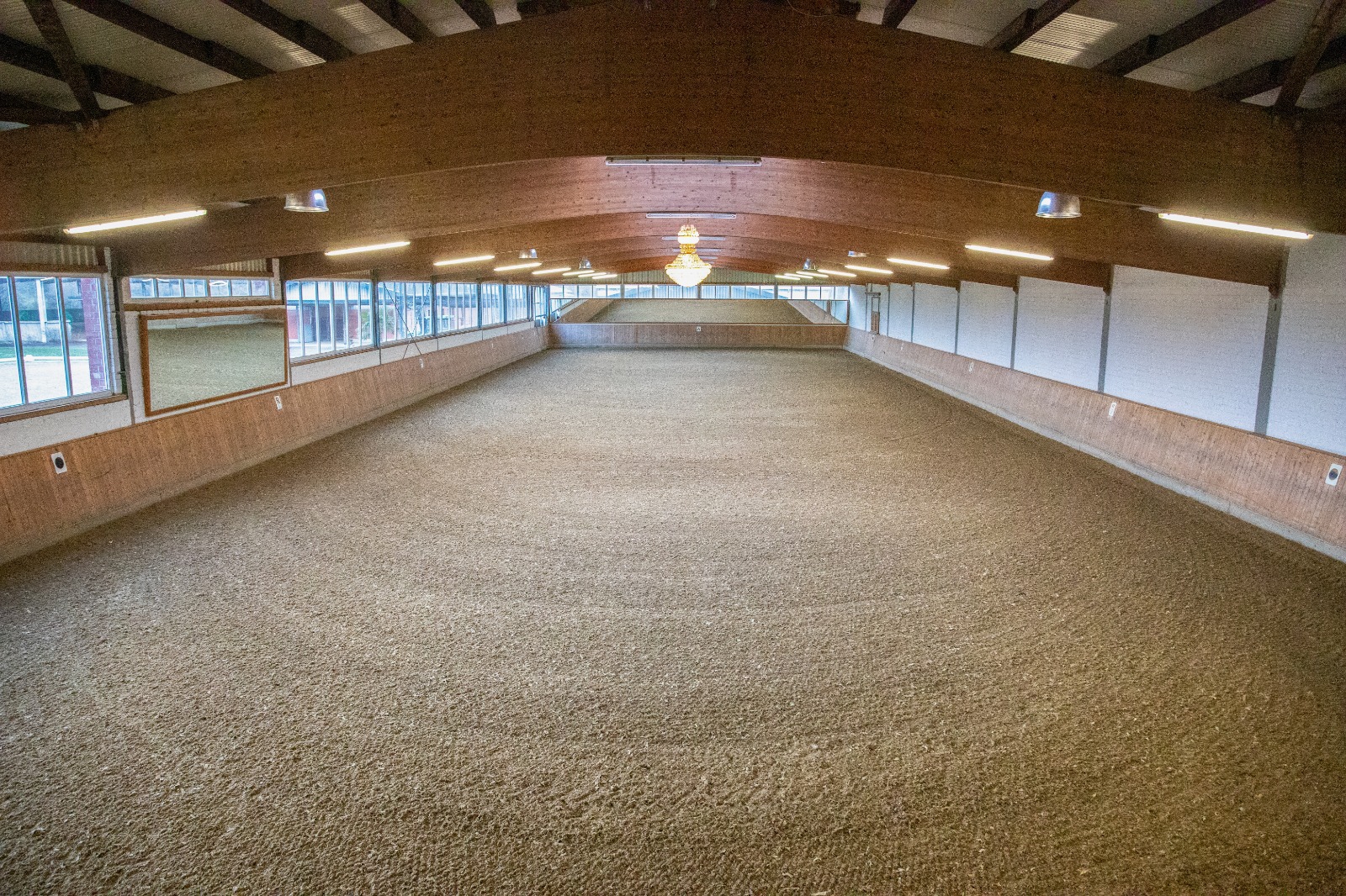 Lichtdurchflutete Dressurhalle